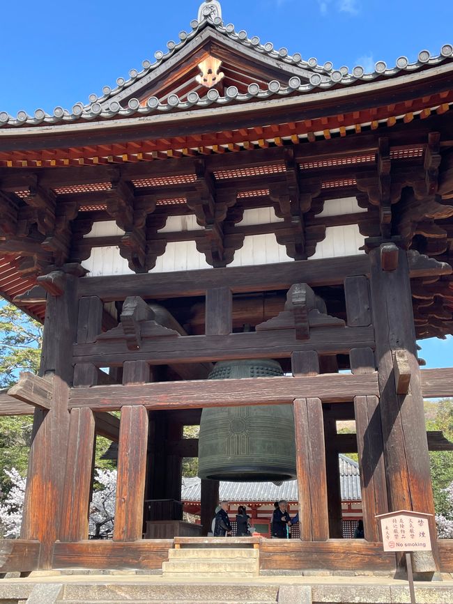 奈良-京都-星期五-04.04.25