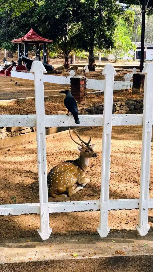 Deer Park and Fort Frederick - Trincomalee