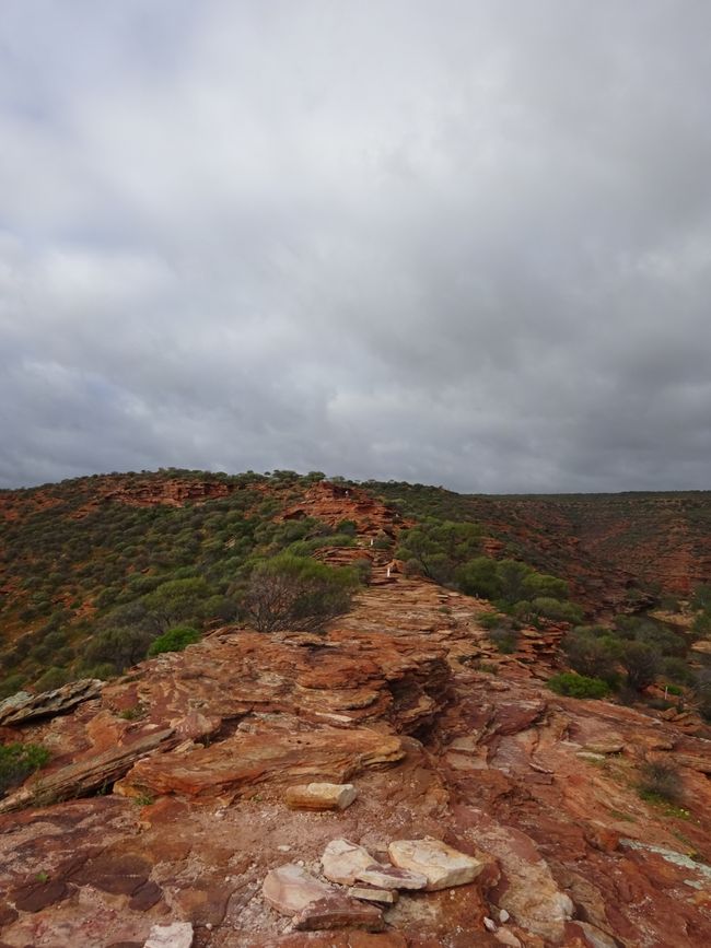 Anfang des Loop Trails 