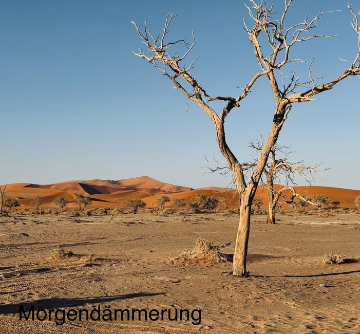 Dünenbesteigung in Namib Wüste