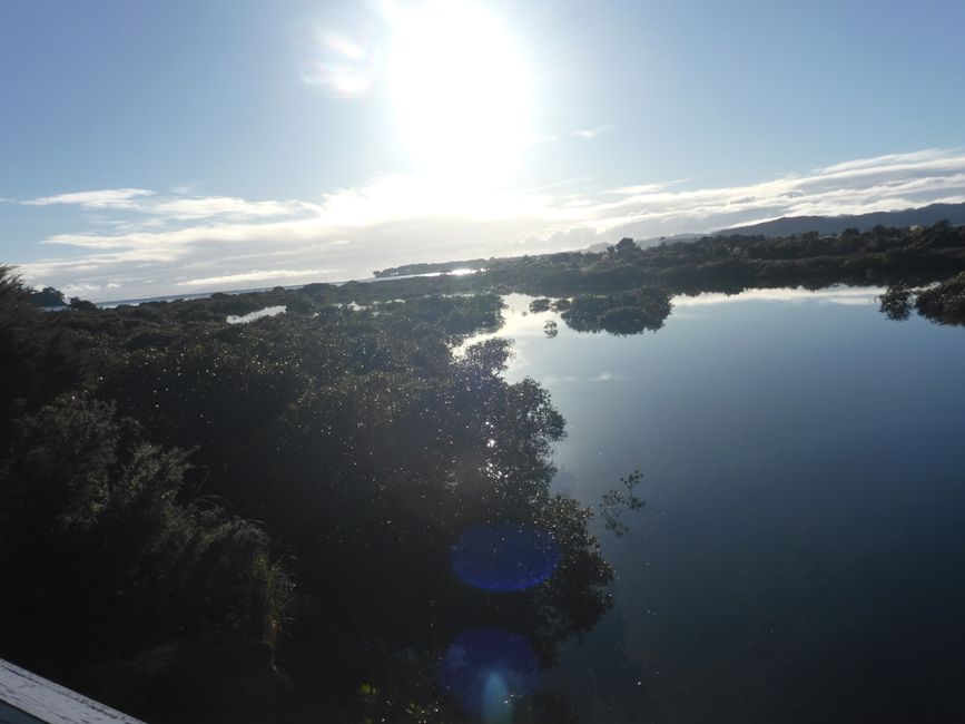 2025-04-11 NZ, Coromandel