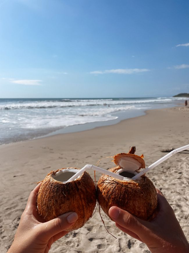 Pura Vida en Santa Teresa 🇨🇷🌴🔆🌊🐚