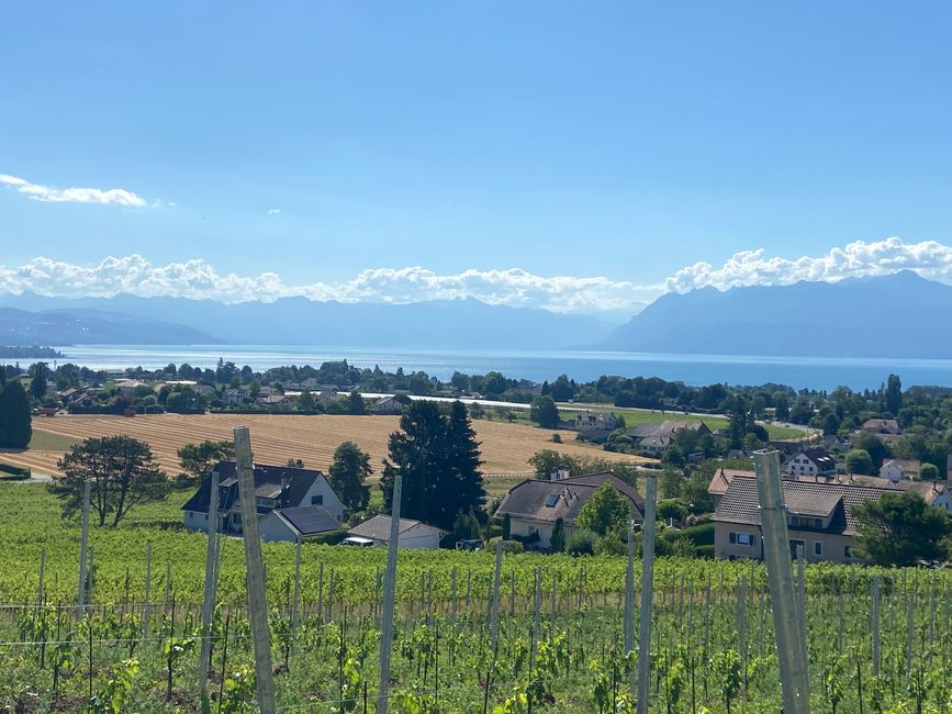 lausanne - rolle (letzter tag)