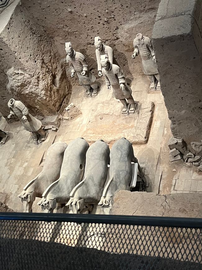 Die Pferde, die den Streitwagen ziehen