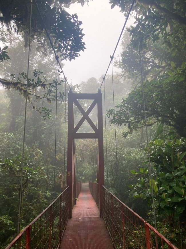 Monteverde