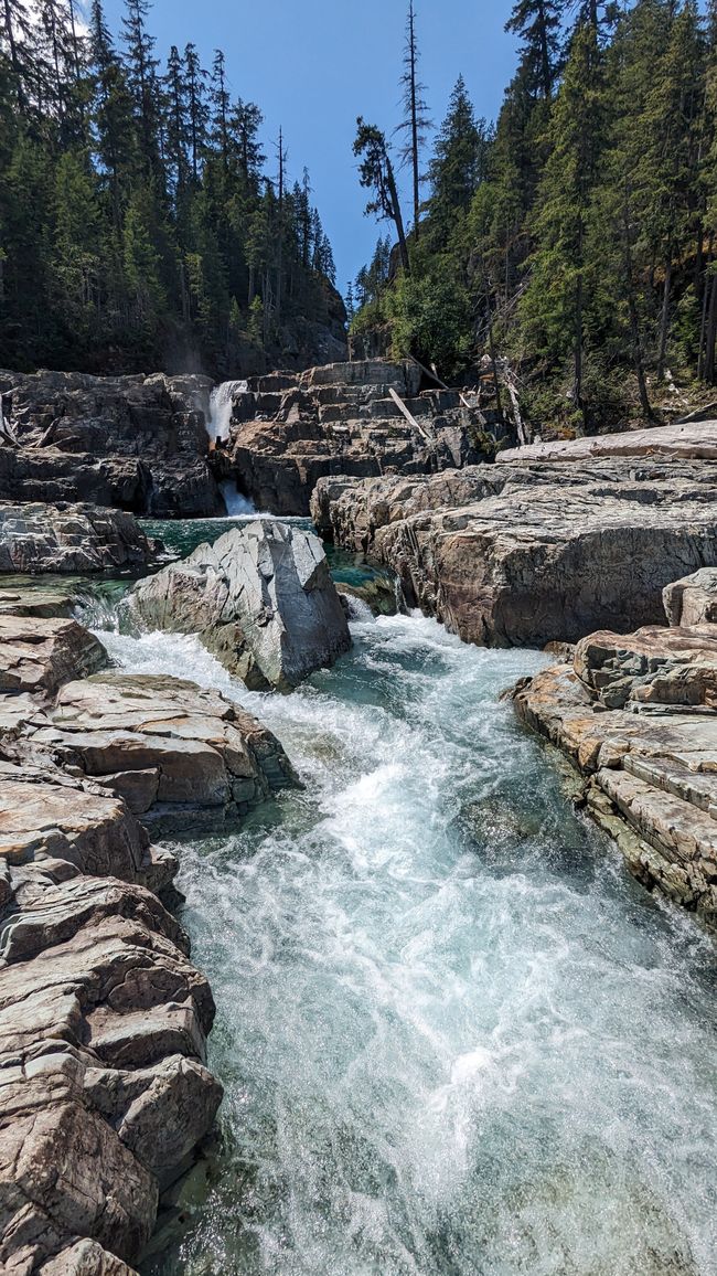 Camino hacia el Upper Myra Falls Trail