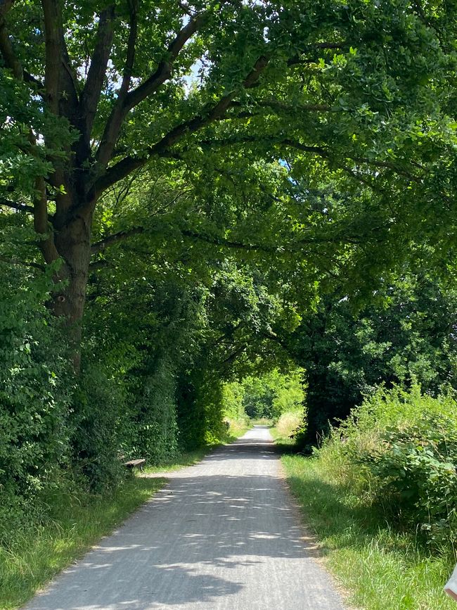 Magisches Tor