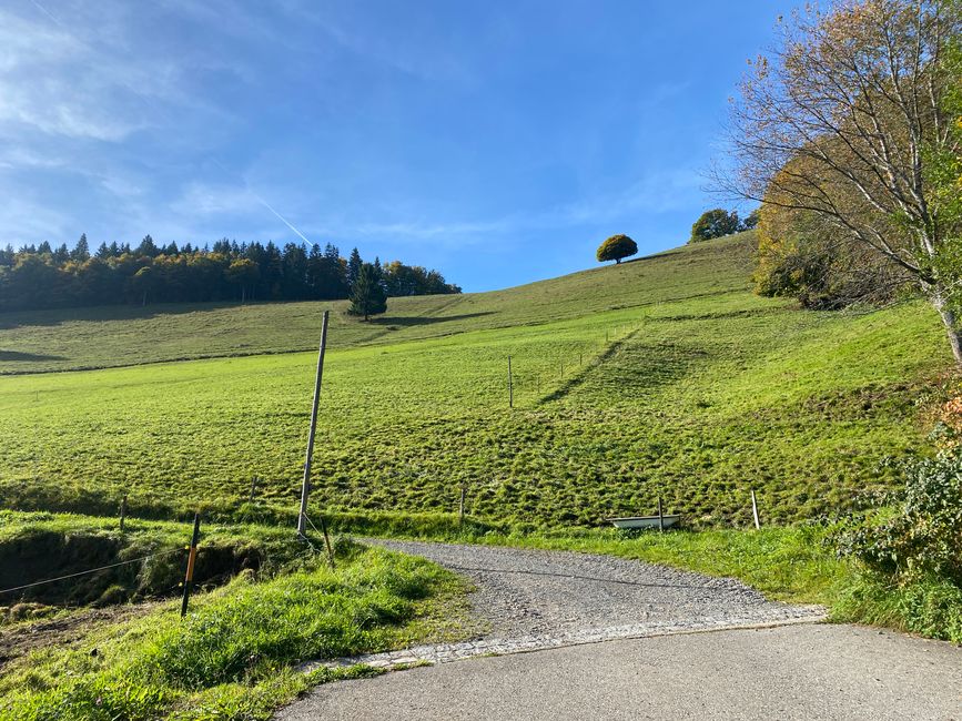 Auf dem Weg zum Belchen
