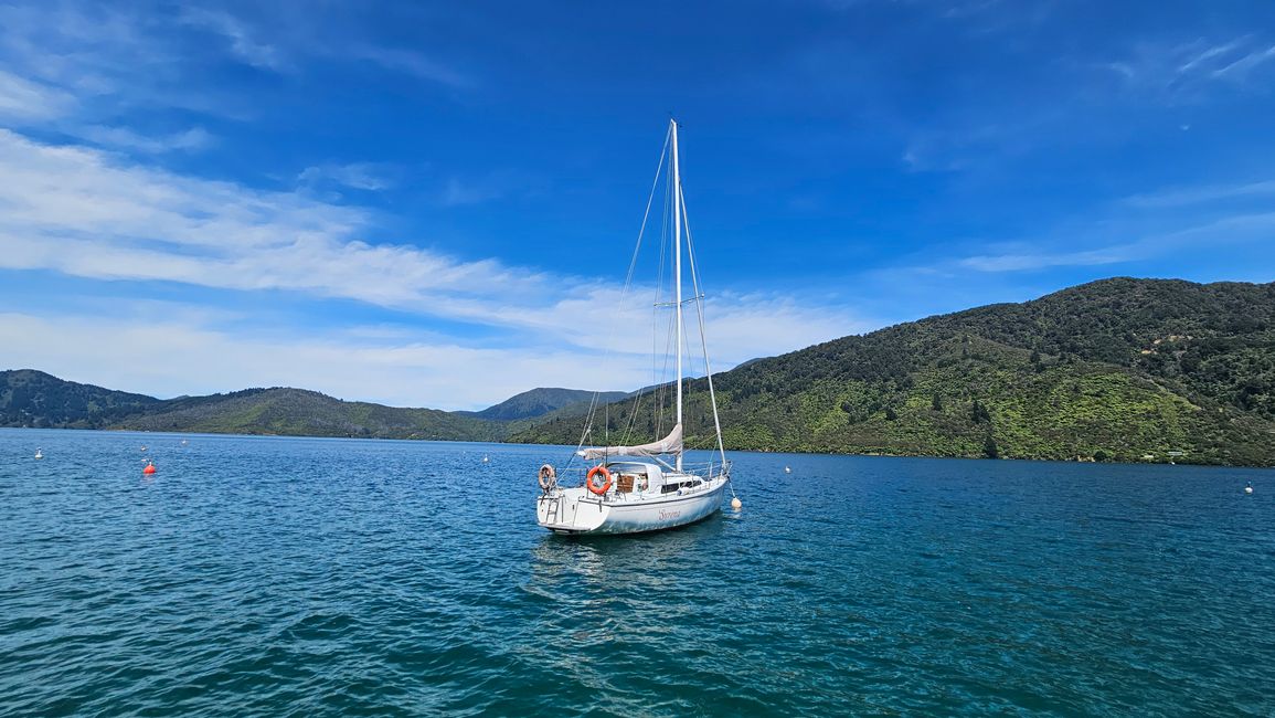 Picton - Queen Charlotte Track
