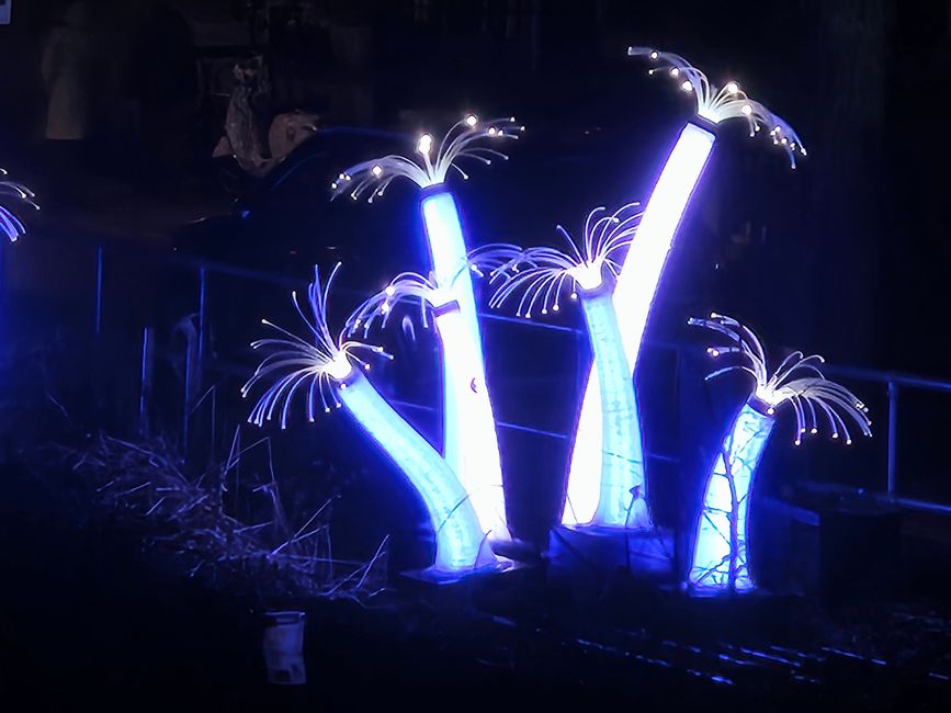 2026 - Janvier - Amsterdam - Festival des Lumières
