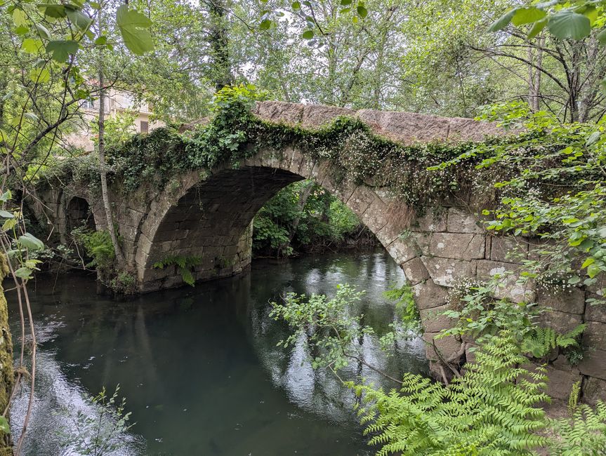 Bilancio sul Passo (Camino Portugues 5)