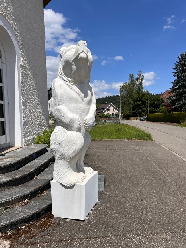 29 nach Hause