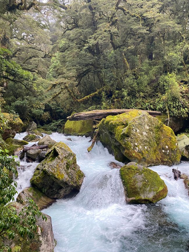 Road trip to Milford Sound