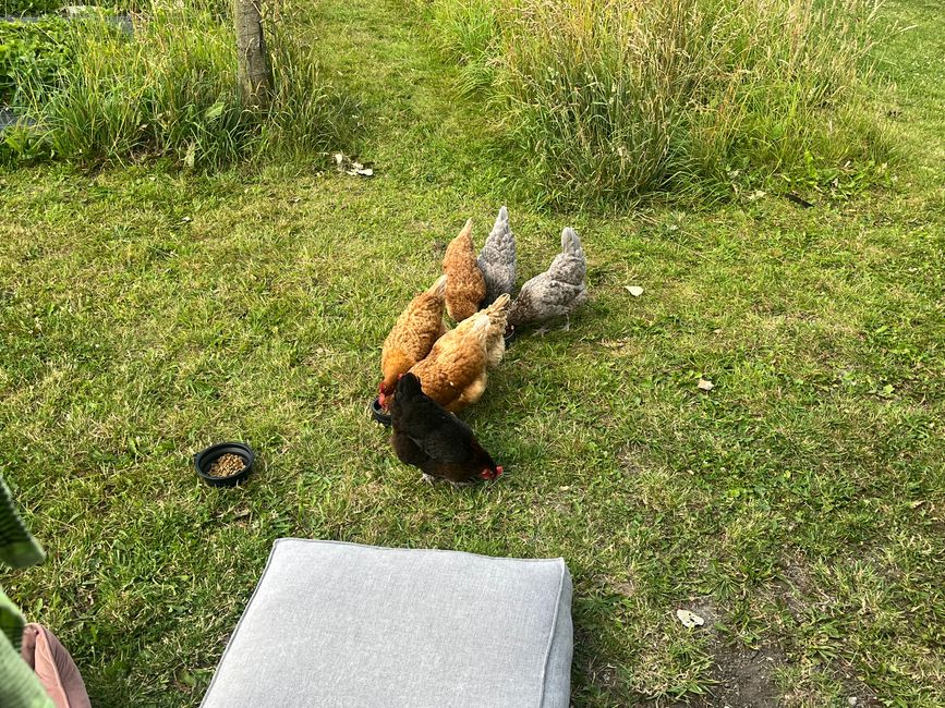 Besucher