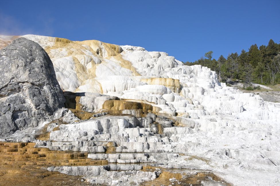 Mammoth Hot Springs - Sinterterrassen