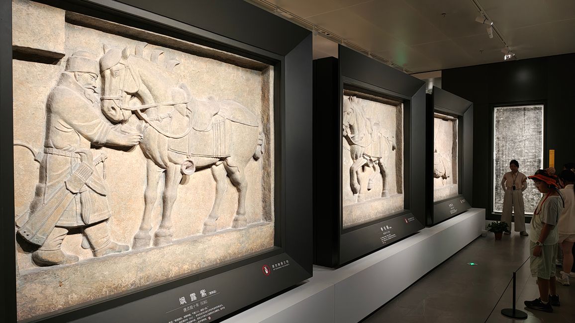 Interazione nel Museo delle Stele