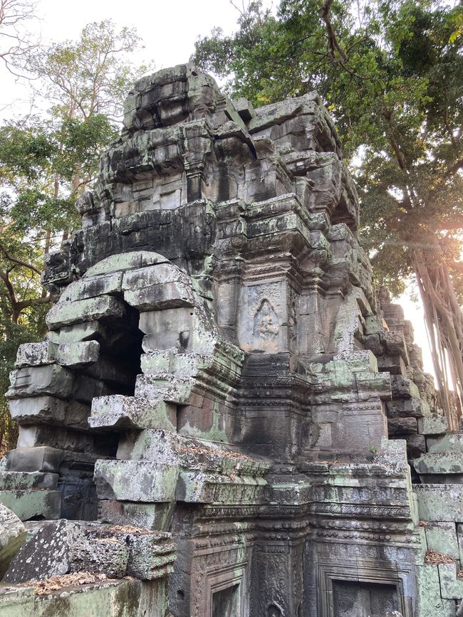 Kambodscha - Siem Reap - Ta Prohm Tempel