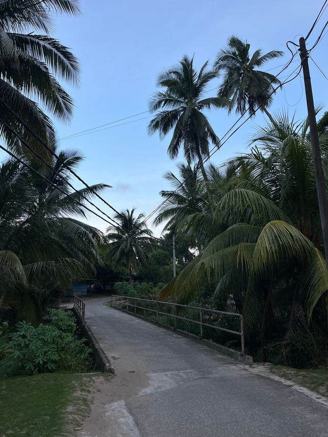 Tioman Island