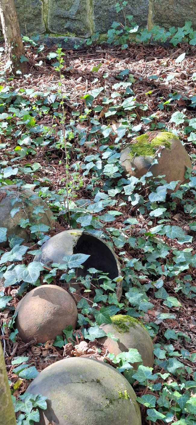 Wandern in Darmstadt 