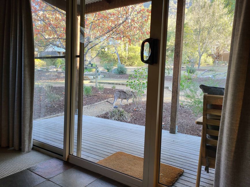 Hahndorf - Halls Gap