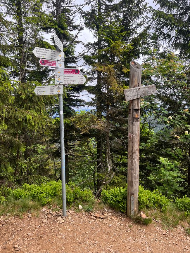26 Feldbergsteig Escursione Pro Wolermoos