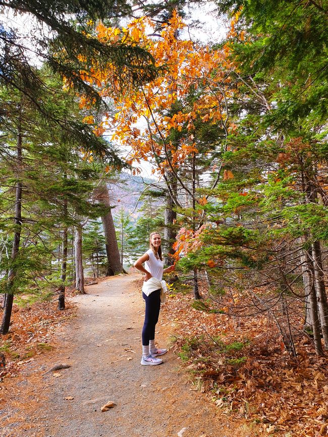 Acadia National Park