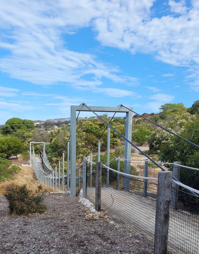 Tag 92: Penneshaw/Kangaroo Island/Australia