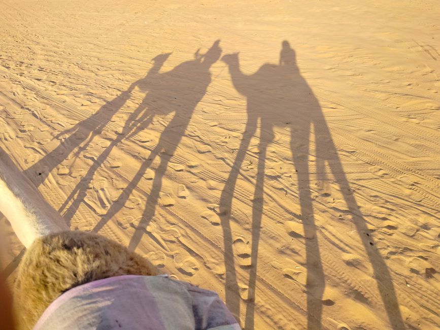 Dunas de Wahiba