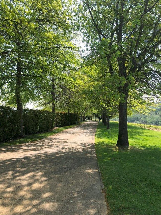 Die Zufahrt zum Estate