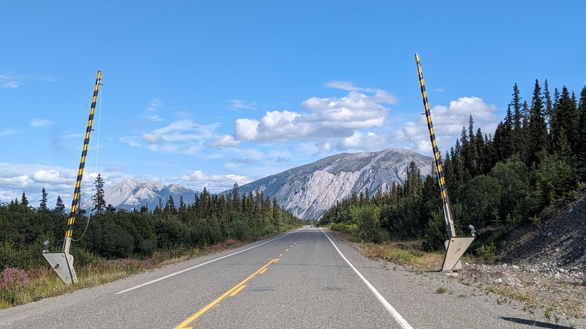 Day 21: Around Whitehorse: Husky Puppies, Emerald Lake & the smallest desert in the world