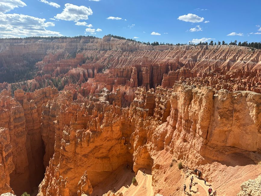 Canyon Land: Zion and Bryce Canyon❤️