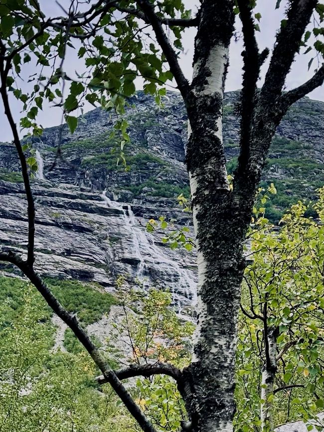 Nigardsbreen - la glace éternelle (?)