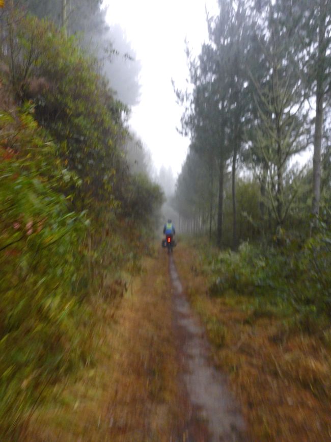Durch den Nebel