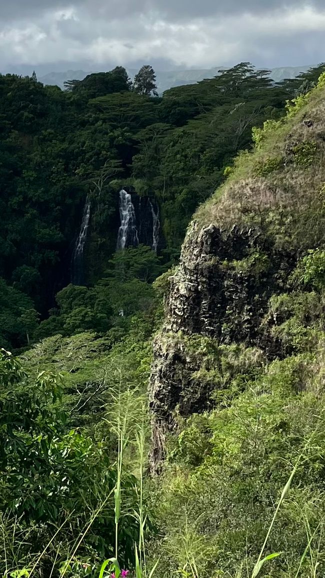 Opaeka’a trail and falls 