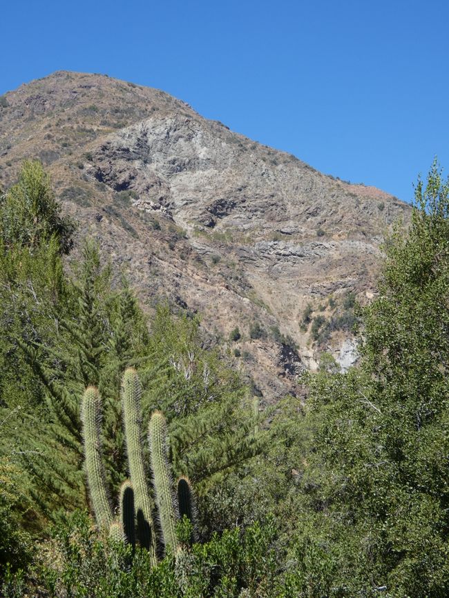 Cajón del Maipo - Voyage dans les Andes