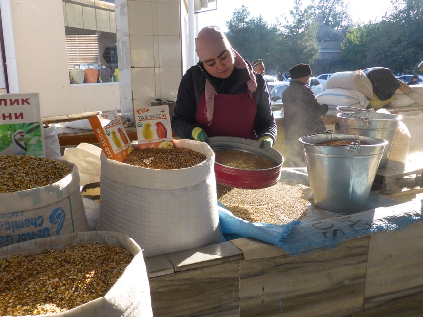 Usbekistan, 
Taschkent und Samarkand 
2024-10-13