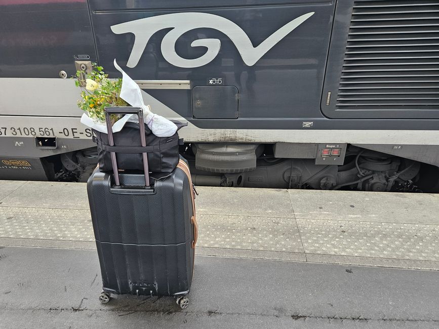 TGV e la mia valigia