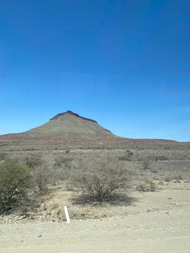 Namib Desert 🏜️ 