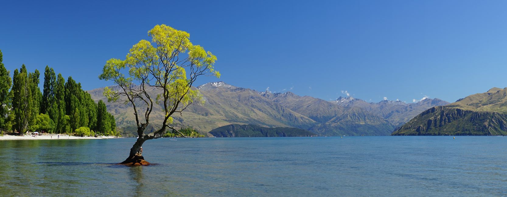 Haast Pass - Isthmus Peak - Wānaka