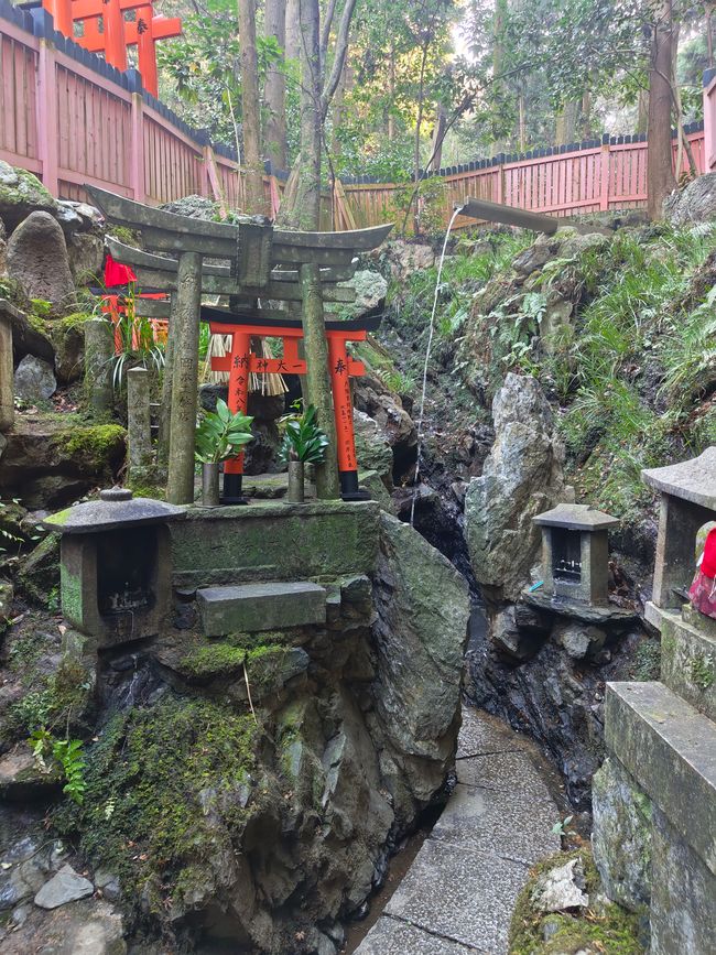 Over 10,000 Torii, I mean gates