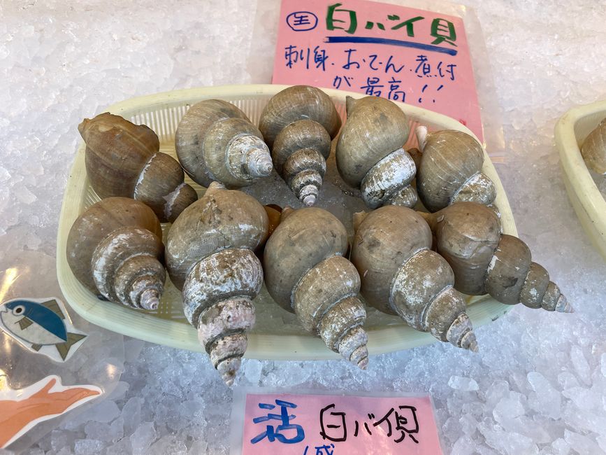 27. Capitolo: Ho trovato il mio villaggio giapponese: Kinosaki