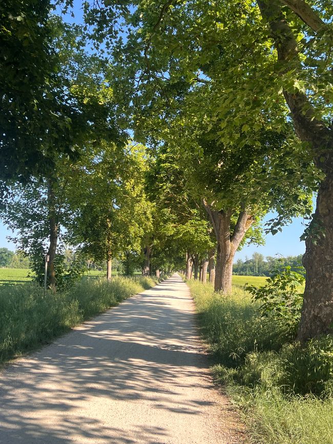 21 nach Donauwörth