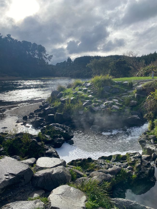 Taupo