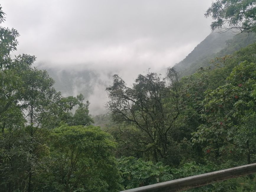 Brasil, Curitiba y viaje en tren por la selva tropical