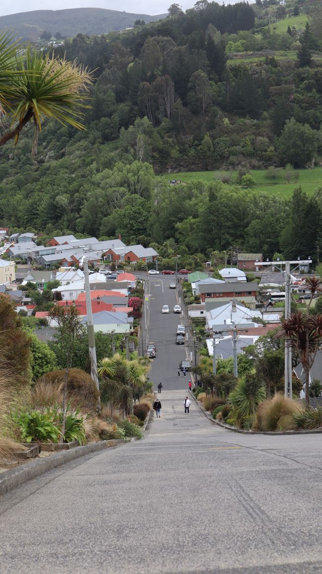 Calle Baldwin