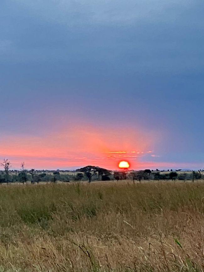 En la Serengeti - Día 3
