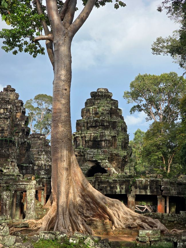 Alles kommt anders... - oder: Die Tempelanlagen von Angkor