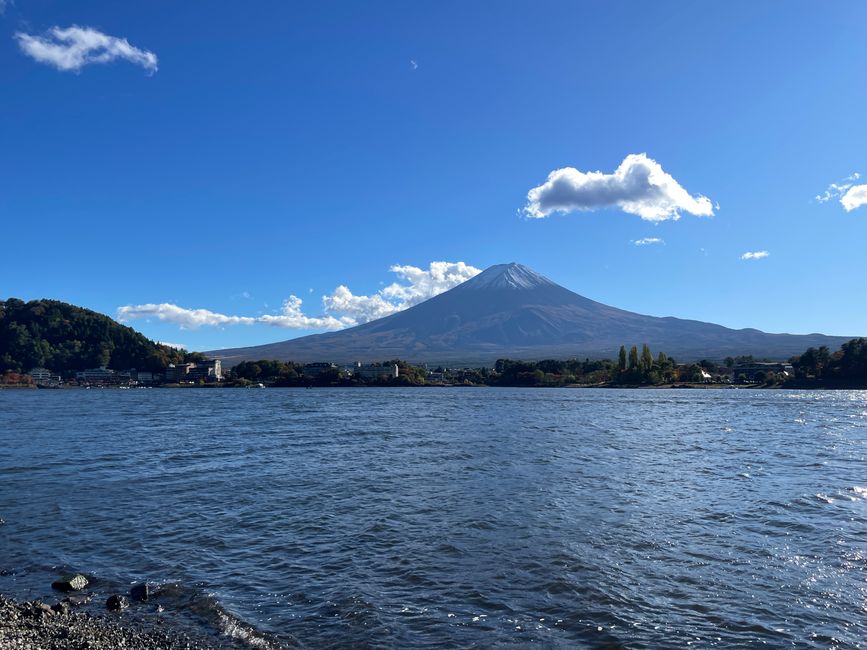 6. Ausflug zum Koli von Japan oder : Schon wieder ne fast-Katastrophe