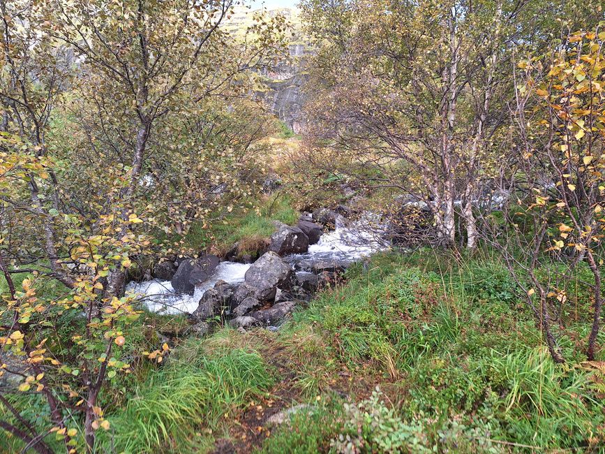 Etiqueta 11 Lofoten