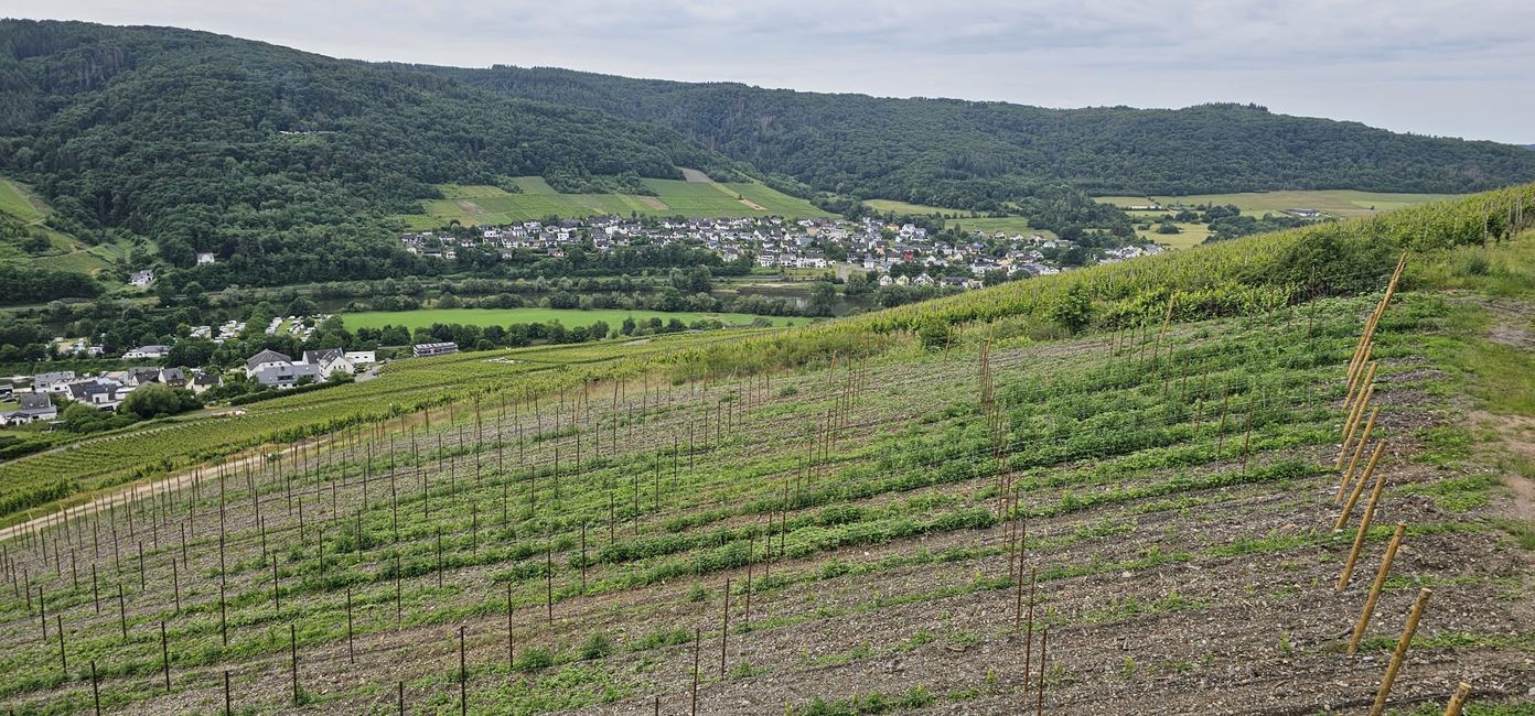 Cochem on the Moselle